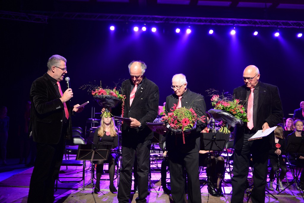 ../Images/Jubileumconcert 100 jaar Harpe Davids 158.jpg